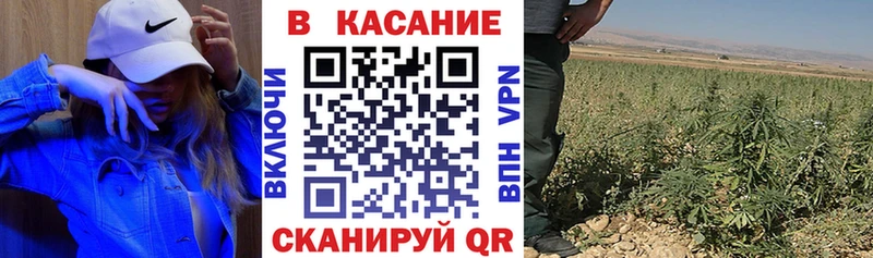 Купить закладку Кокаин  Мефедрон  A PVP  Амфетамин  ГАШИШ  Галлюциногенные грибы  Конопля  Мамоново