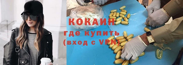 spice Новодвинск