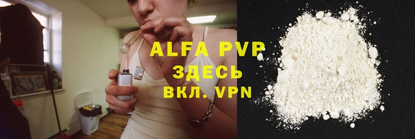 spice Новодвинск